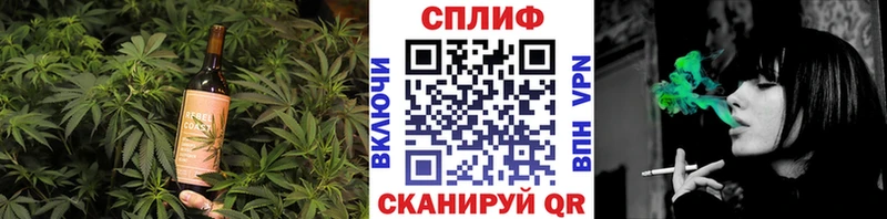 Cannafood конопля Закаменск
