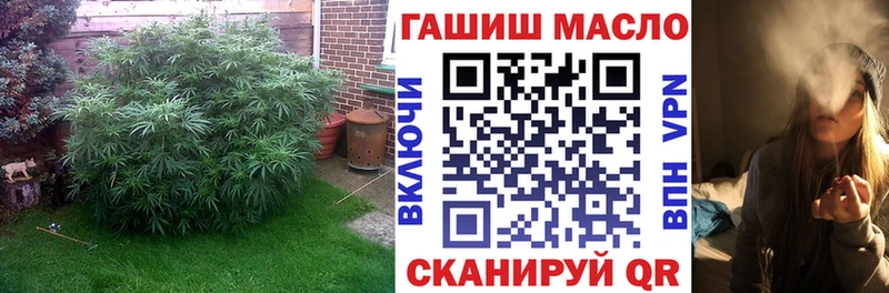 МЕГА онион Закаменск ТГК THC oil