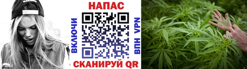 мега ссылки  Закаменск  shop клад  сколько стоит  Бошки Шишки Amnesia 